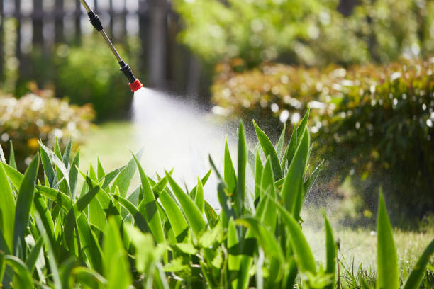24/7 Emergency Termite Control experts in London, KY