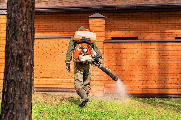 Top rated local Termite Control specialists in London, KY